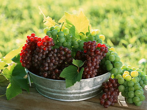 Grapes