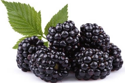 Blackberry Fruit