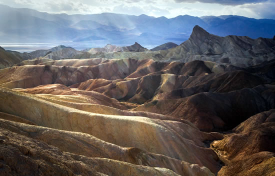 Untamed Landscape of California