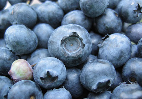 blueberries to cut cholesterol