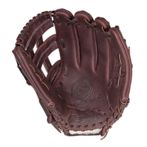 Baseball Expensive Glove