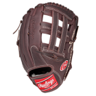 Expensive Baseball Glove
