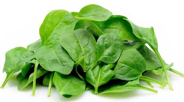 Pile of baby spinach