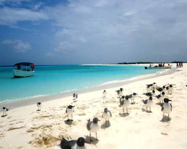 Cayo de Agua Venezuela