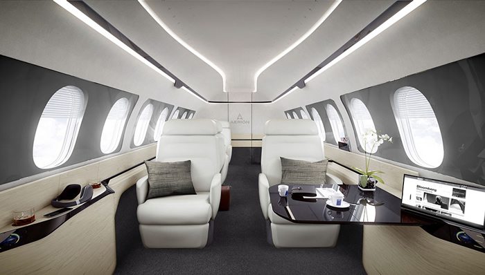 erion as2 business jet