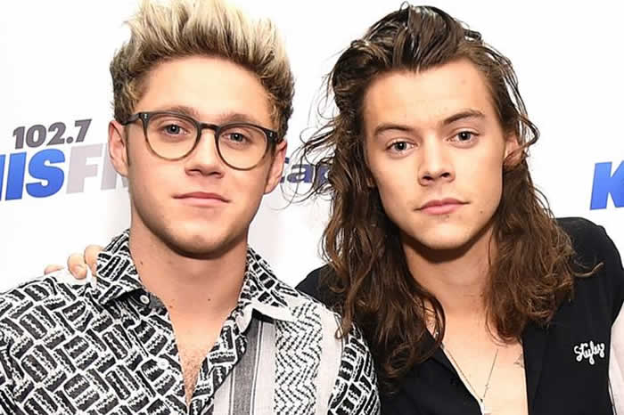 Harry Styles and Niall Horan