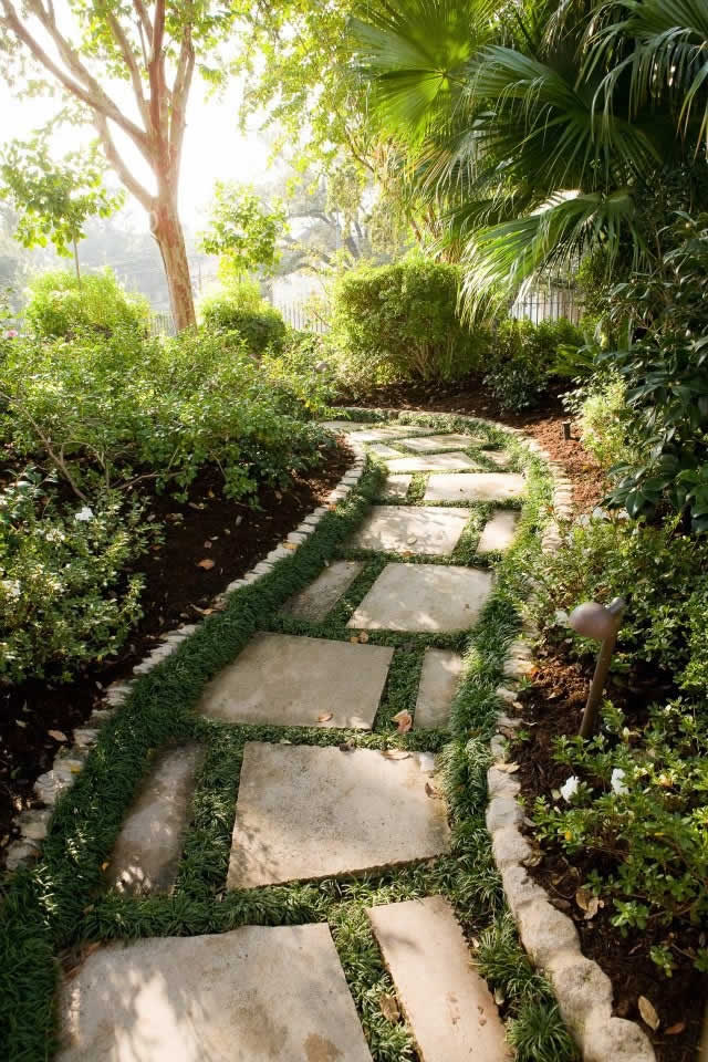 Plants And Ground Covers For Your Paths And Walkways