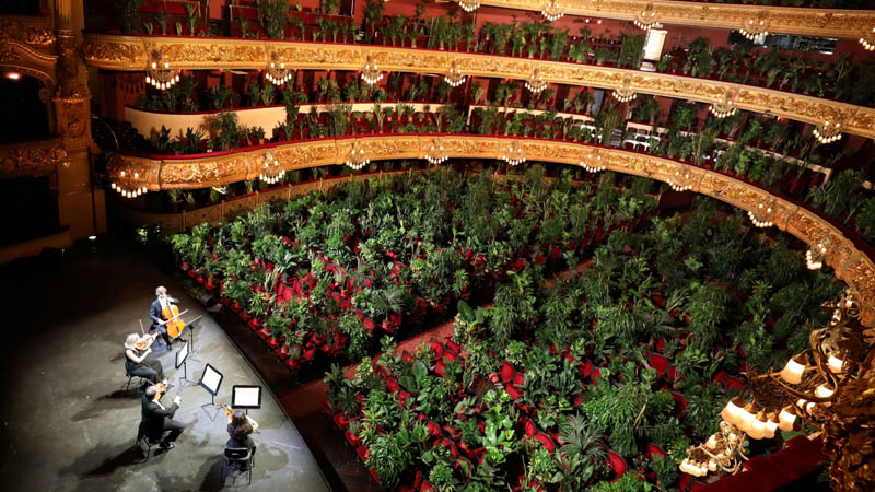  A World-Class Opera House in Spain Reopened With a Concert for Thousands of Potted Plants