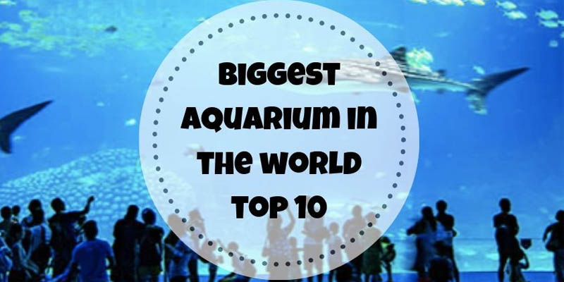  10 BIGGEST AQUARIUMS IN THE WORLD