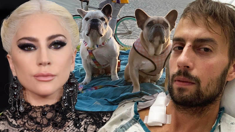  Lady Gaga’s dog walker pens a heartfelt note to describe his pain after being shot