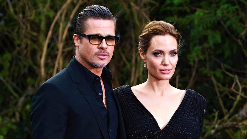  Brad Pitt Takes Ex-Wife Angelina Jolie To Court Over Sale of Winery Without His Consent