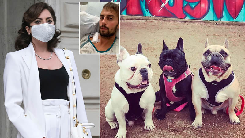  Lady Gaga dognapping case: Prosecutors claim suspects didn’t know dogs belonged to star