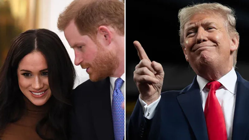  Donald Trump Strikes at Meghan Markle, Claims She Used Prince Harry