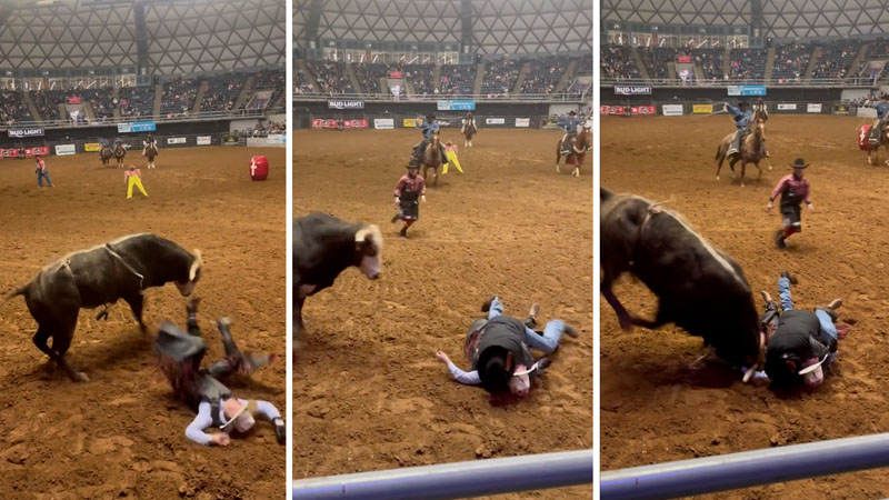  Dad shields son from the bull after he’s knocked unconscious at Texas rodeo, video shows