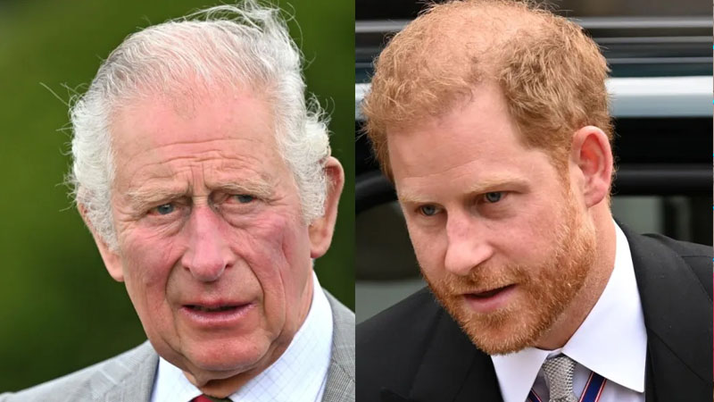  King Charles Claims He Is Too ‘Busy’ to See Prince Harry