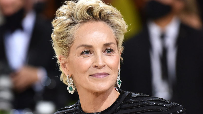  Sharon Stone would fly into an exclusive group with an Emmy win