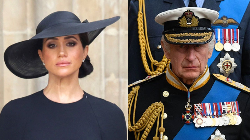  Meghan Markle Seeks Answers from King Charles About Following Different Royal Rules