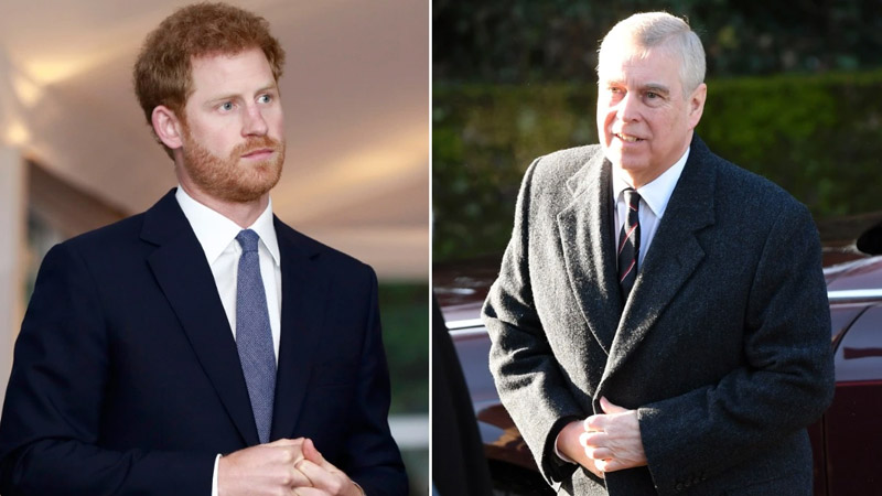  Harry and Andrew are ignored as King Charles discloses a Royal Family shake-up