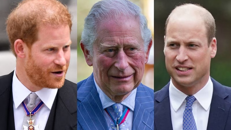  King Charles Faces Challenges with Prince William and Harry Due to Their Diana-like Behavior