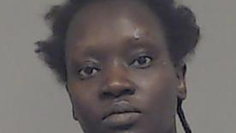  Allegedly a Texas mother threatened to throw her 3-year-old in the oven and chop her children with knives