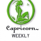 business horoscope capricorn