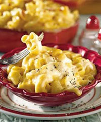 macaroni cheese