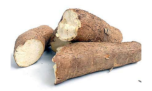 Cassava