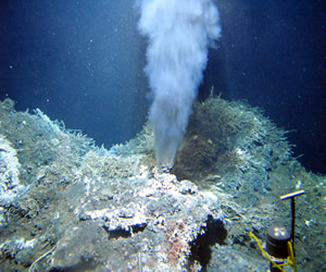 Deep Sea Vents Ecuador