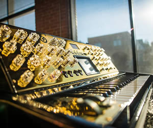 Moog Music 24 Carat Gold Minimoog