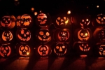 pumpkins image