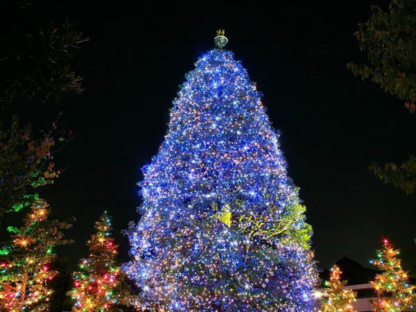 Glowing Christmas tree