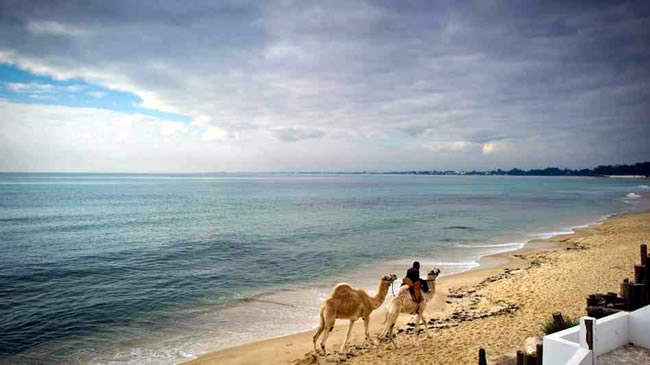 Sidi Bou Beach