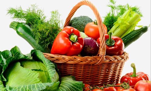 World Vegetarian Day 2014