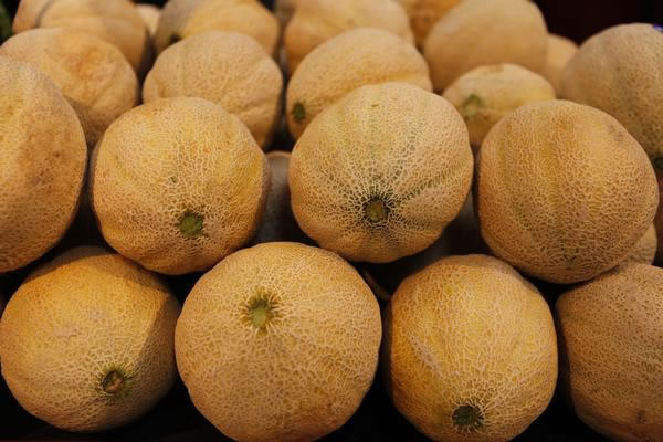 Cantaloupe