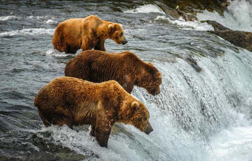 Alaska travel tips and guide