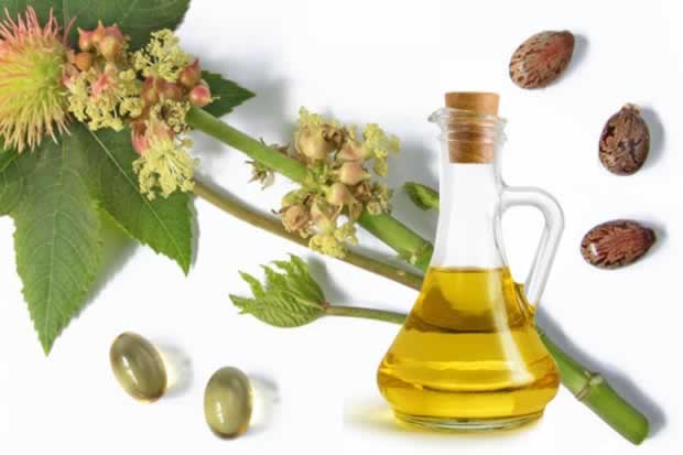 Castor_oil_for_hair