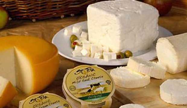 Farmhouse Cheese