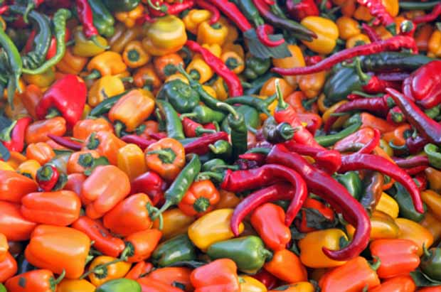 spicy_peppers_pepper-at-market