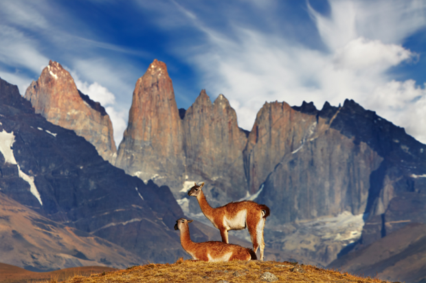 torres-del_paine_chile