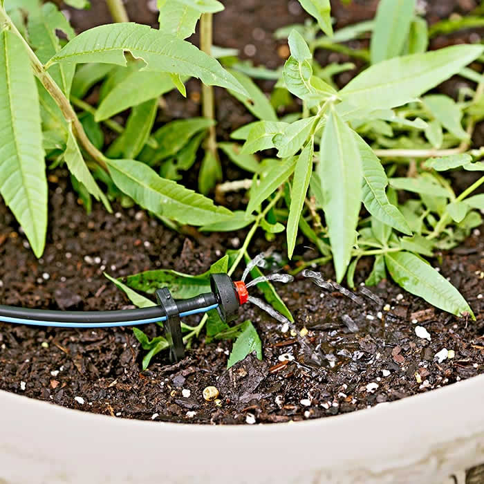 Drip Irrigation