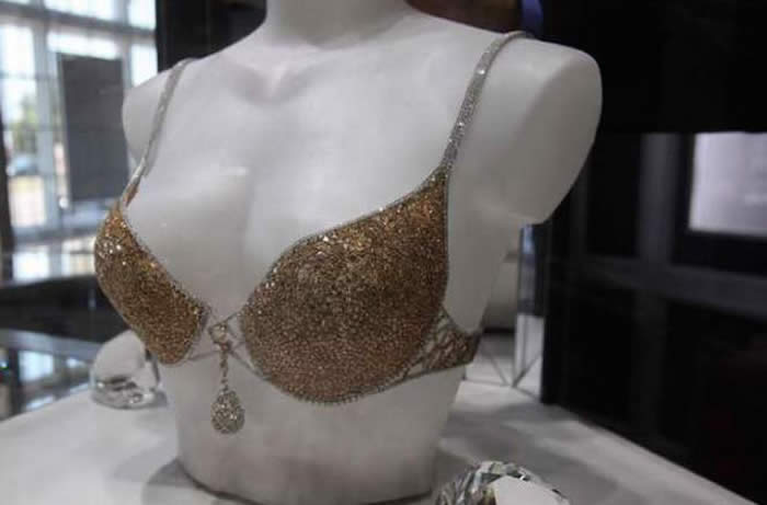 expensive bra 