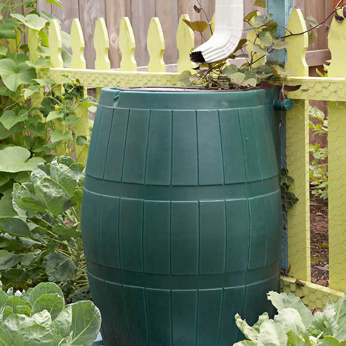 Rain Barrels