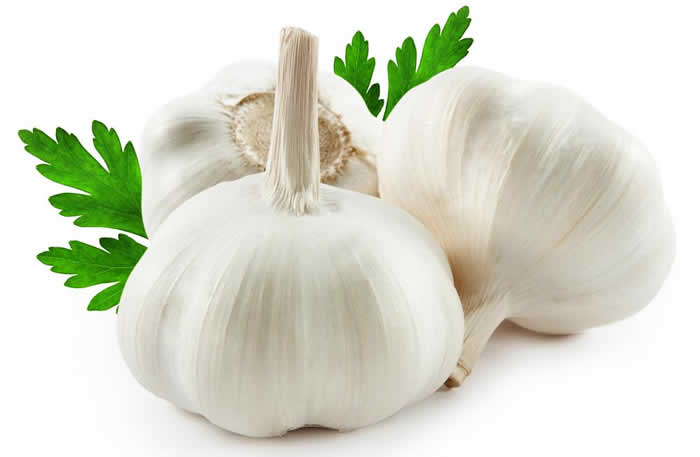 Garlic