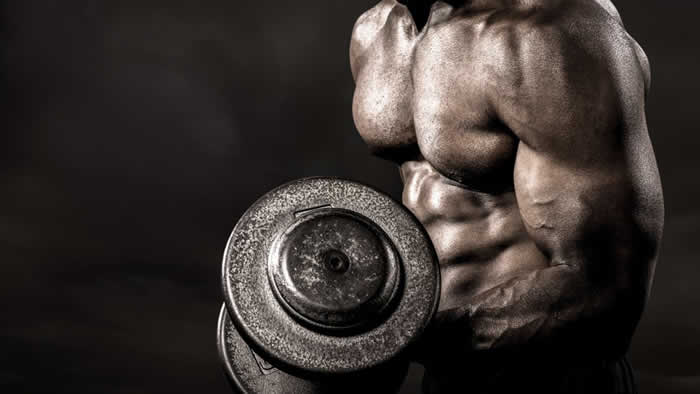 The Pros Of Dumbbell Training