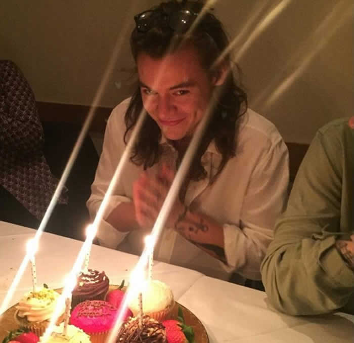 Harry Styles birthday dinner in London