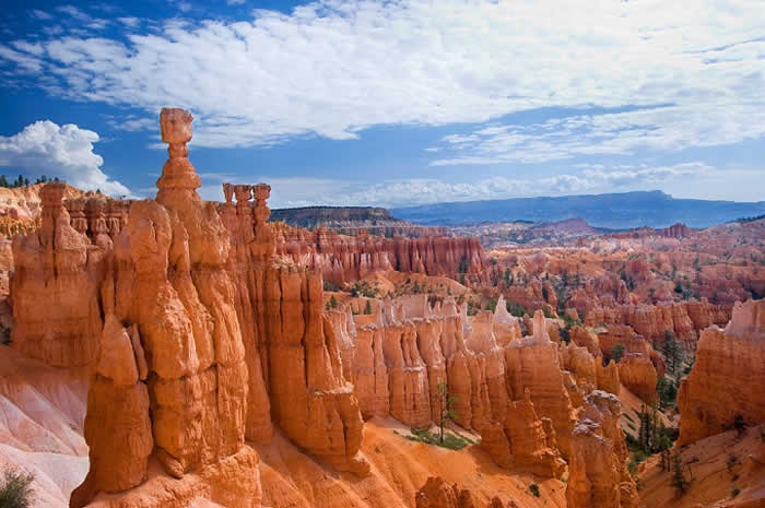 Côte d'Albâtre, France