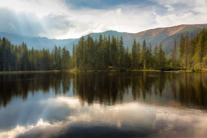 Beautiful Reflection by Wojciech Toman 