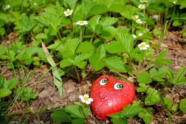 Painted Stone and Pebble Decors You Can Make Instantly for Your Garden