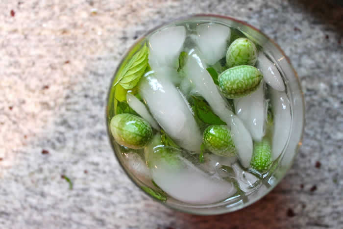 How To Grow This Cutest Fruit On Earth