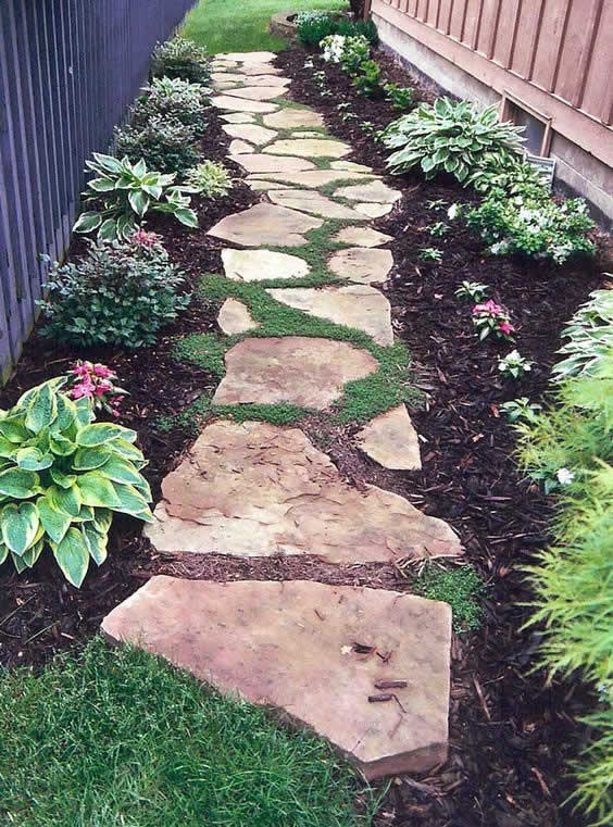 Plants And Ground Covers For Your Paths And Walkways